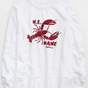 Aerie Lobster Sweater